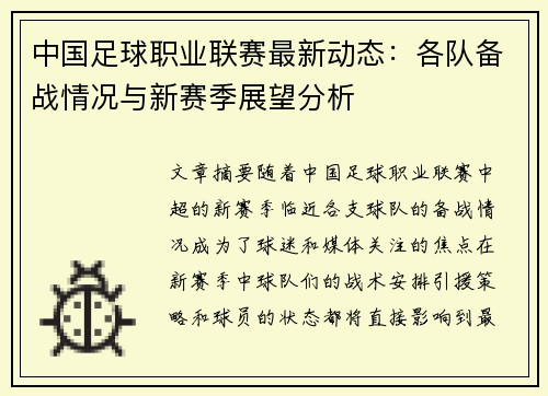 中国足球职业联赛最新动态：各队备战情况与新赛季展望分析