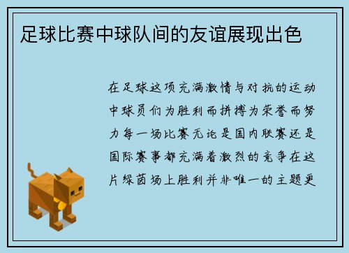 足球比赛中球队间的友谊展现出色