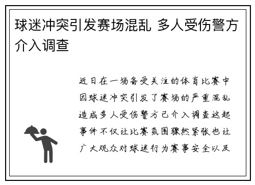 球迷冲突引发赛场混乱 多人受伤警方介入调查