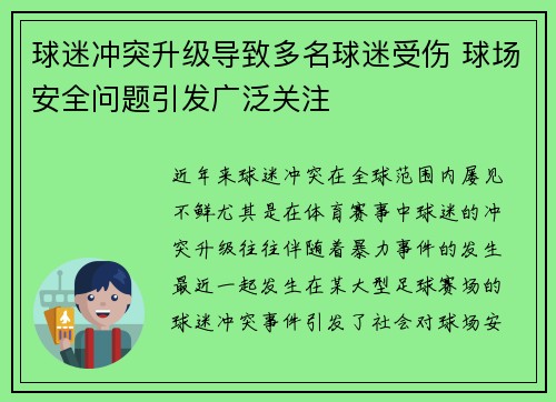 球迷冲突升级导致多名球迷受伤 球场安全问题引发广泛关注